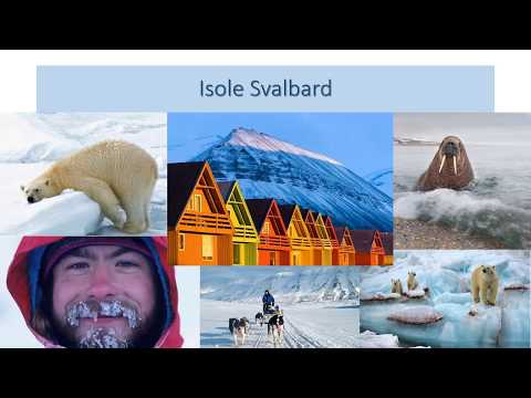 Video: 8 Motivi Per Cui Le Svalbard Sono Il Luogo Più Unico Al Mondo: La Rete Matador