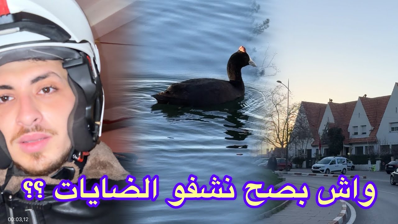 جولة تفقدية ، حقيقة ضاية عوا و عين السلطان ، #vlog #viralvideo #nature ...