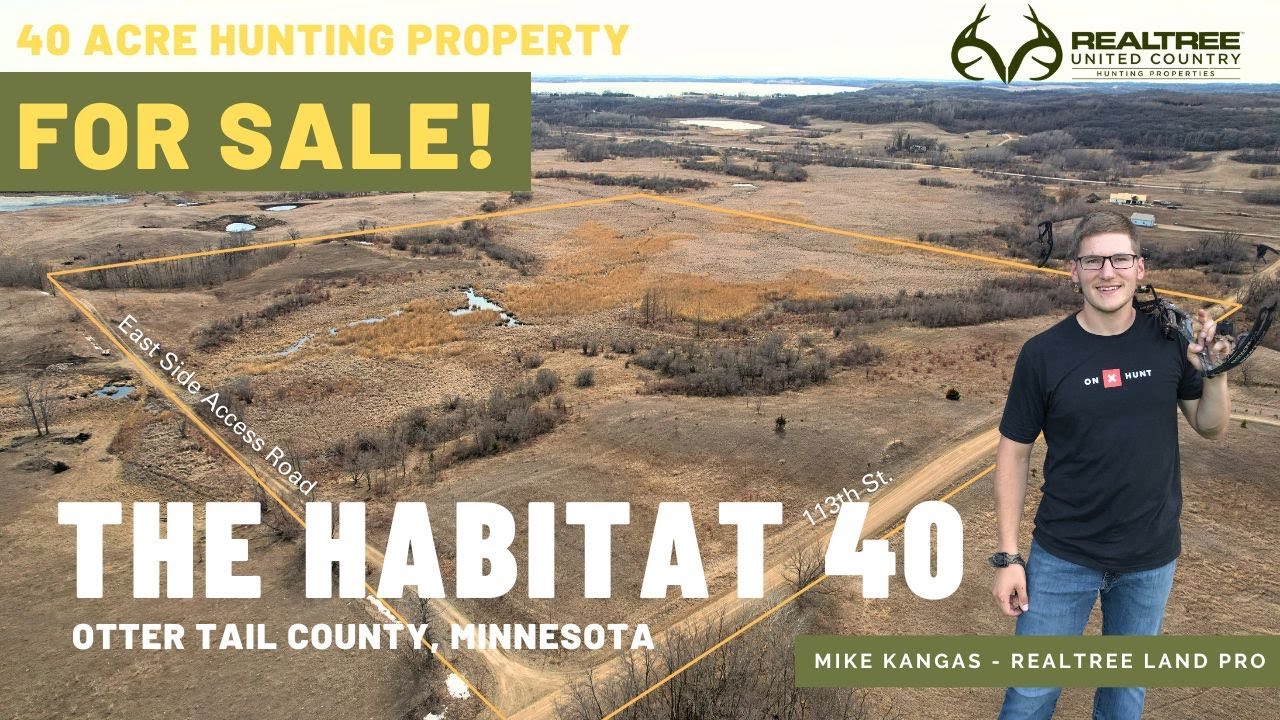 40 Acres of Hunting Land For Sale Otter Tail County, MN YouTube