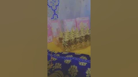 عراضة زوينة سبوع دايزو الكلام