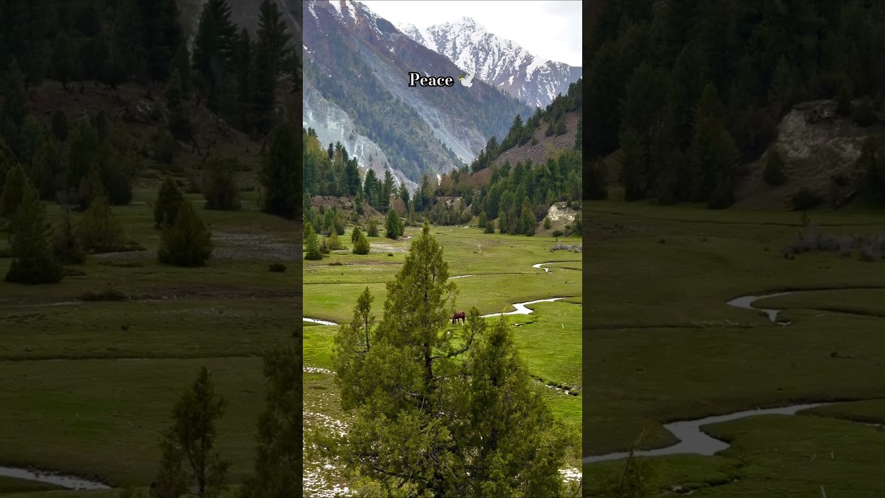 Peace 🕊️ bagrote valley Gilgit 