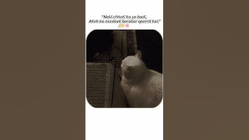 Allah✨🫀 #shortsvideo #islamicquotes #islamicshorts #islamicvideo #viral #trending