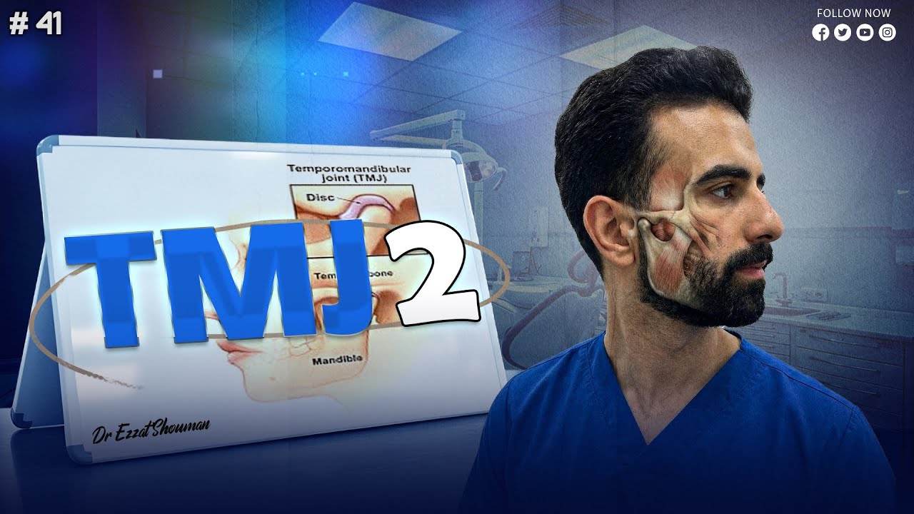tmj 2 شرح (last video)_ oral histology || عزت شومان