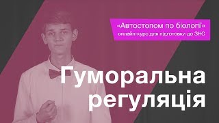 Гуморальна регуляція - Підготовка до ЗНО - Біологія