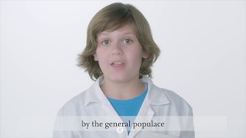 Episode 4: The Beauty in Simplicity