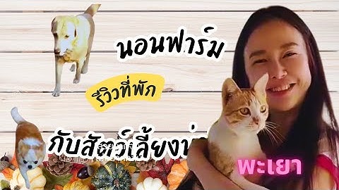 ฟาร์มสเตย์ ที่พักแนวใหม่ ที่พะเยาว์
