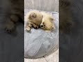 オンとオフ📴
