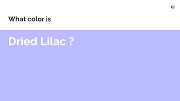 Dried Lilac color #bbbbff hex color - Blue color - Warm color bbbbff