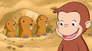George Needs to Save the Gophers! | Curious George Compilation | Adventure & Play