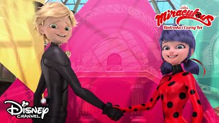 Casting Na Biedronkę I Czarnego Kota Miraculous Biedronka I Czarny Kot Disney Channel Polska