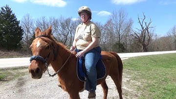 Owner Can Ride Horse Again With Master Clip From Tuning Element