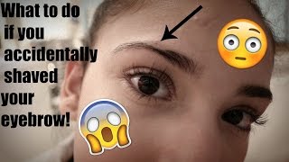 What to do if you accidentally shaved your eyebrow!