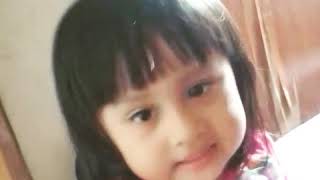 Papa nabung susu cap nona