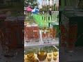 東京蚤の市vlog🧸🕰️🌿🌼