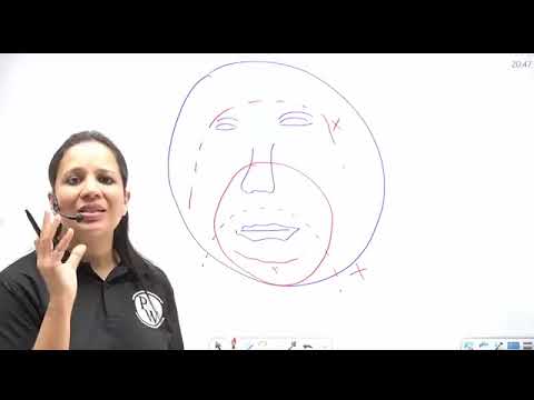 989 Neonatology 04 Neonatal Resuscitation Part 2 Rescheduled 1