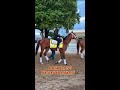 All Eyes on Renegade to Buck Kentucky Derby Favorites Streak