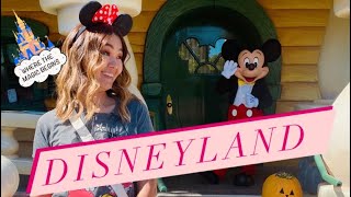 видео: Диснейленд влог в Лос-Анджелесе|Самое счастливое место на земле💫🪅#замужзаамериканца#сшавлог #сша картинка: Диснейленд влог в Лос-Анджелесе|Самое счастливое место на земле💫🪅#замужзаамериканца#сшавлог #сша