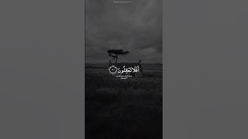 اكتب شي تؤجر عليه 🤍 | القارئ رعد الكردي | قرآن كريم