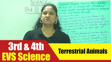 3rd & 4th Std EVS Science | Terrestrial Animals | CBSE Science Syllabus