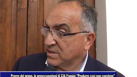 Quanto costa il grano duro a Foggia?