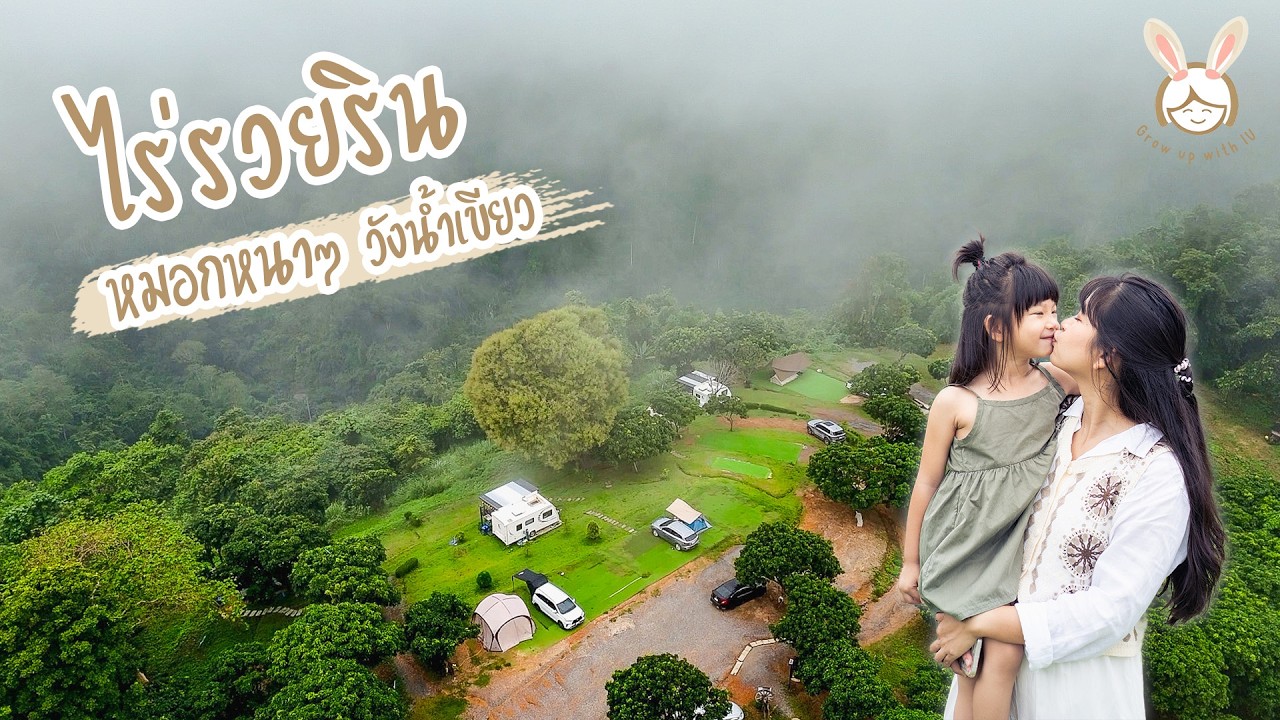 ไร่รวยริน | หมอกหนายัน 10 โมง | วังน้ำเขียว | ลานกางเต็นท์ | จุดกางเต็นท์