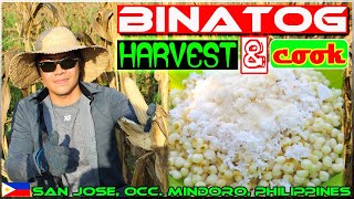 EP78 - Paggawa ng Binatog | Harvest and Cook | Occi. Mindoro