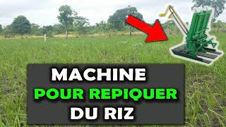 MACHINE AGRICOLE: Un outil capable de faire repiquer du Riz rapidement [Culture du Riz]