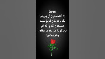 قران كريم #اكسبلور #motivation #القزابري #دويتو #دويتو #لايك #المصحف #الرحمن #المراه #ترند #مطر