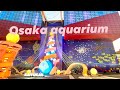Osaka Aquarium (Kaiyukan) 2020#aquarium#aquatic#tour
