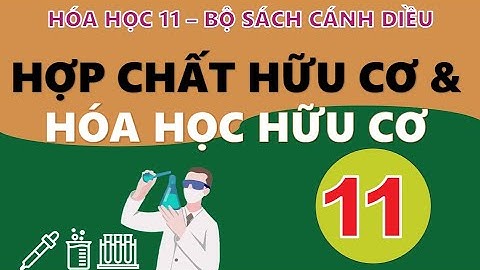 Bảng tác dụng chất của hóa hữu cơ 11 năm 2024