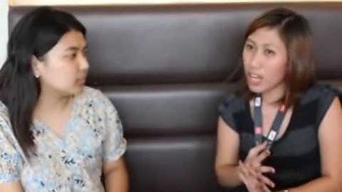 A Glimpse in the Life of A Systems Analyst