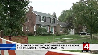Bill would put homeowners on hook for municipal sewage backups