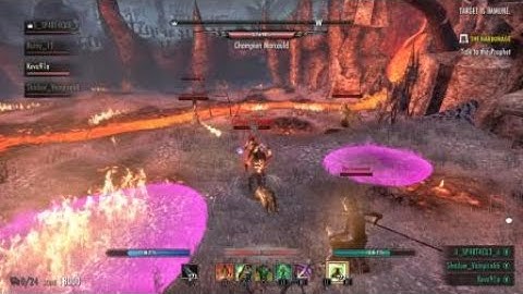 Kovu91a - Vet dsa final boss ultra glitch