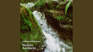 Nature Ambient No.199