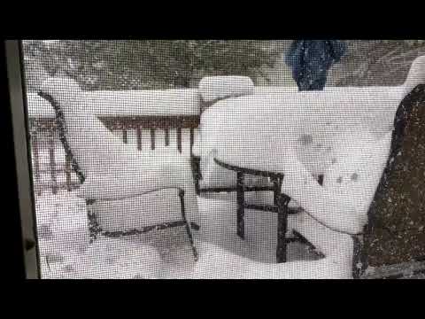 Time Lapse Shows