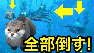 カワウソがサメを食べる方法 カワウソになってサバイバル生活 Ark 実況 Youtube