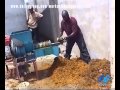 Small palm oil expeller/palm oil press machine running video