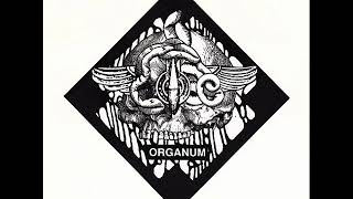 Organum - Meister Nix