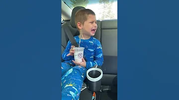 Brother and Sister Fighting in  the car