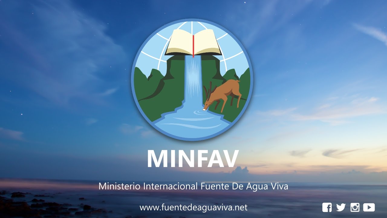 vivanco MINFAV live