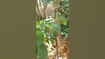 تلاوة #خاشعة # آيات الذكر الحكيم# أستمع ولك الأجر