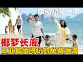三亚最值得去的免费海滩 &ldquo;椰梦长廊&rdquo; 真是太美了 李俊一家此次旅行太值了