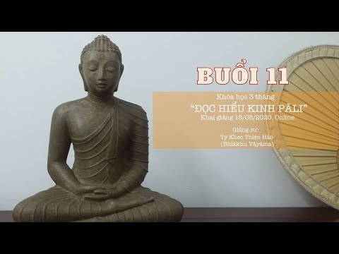 Video: Báo Chí: 11-17 Tháng 1