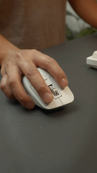 The best mouse for productivity?