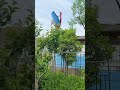 In which scenarios are small wind turbines particularly well-suited?