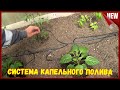 Капельный полив для теплицы и огорода . Как правильно хранить систему Капельного полива.