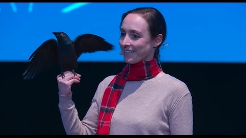 The fascinating intelligence of birds | Auguste von Bayern | TEDxTUM
