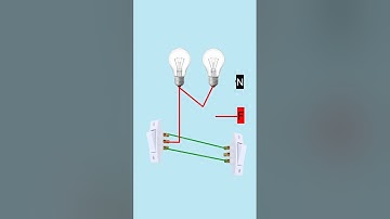 How do you wire two bulb with a 2 way switch?...#shorts #electrical #connection
