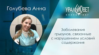 картинка: Заболевания грызунов, связанные с нарушением условий содержания. Лектор Голубева Анна