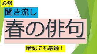 必修、春の俳句（聞き流し）